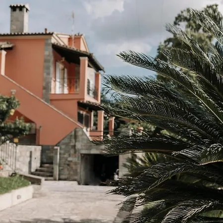 Cocoa Apartament *